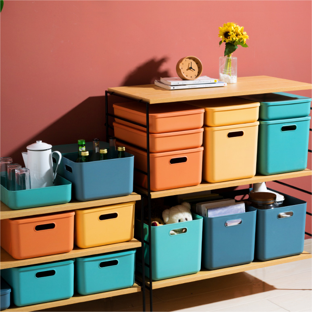 Bask Multicolor Storage Organizer