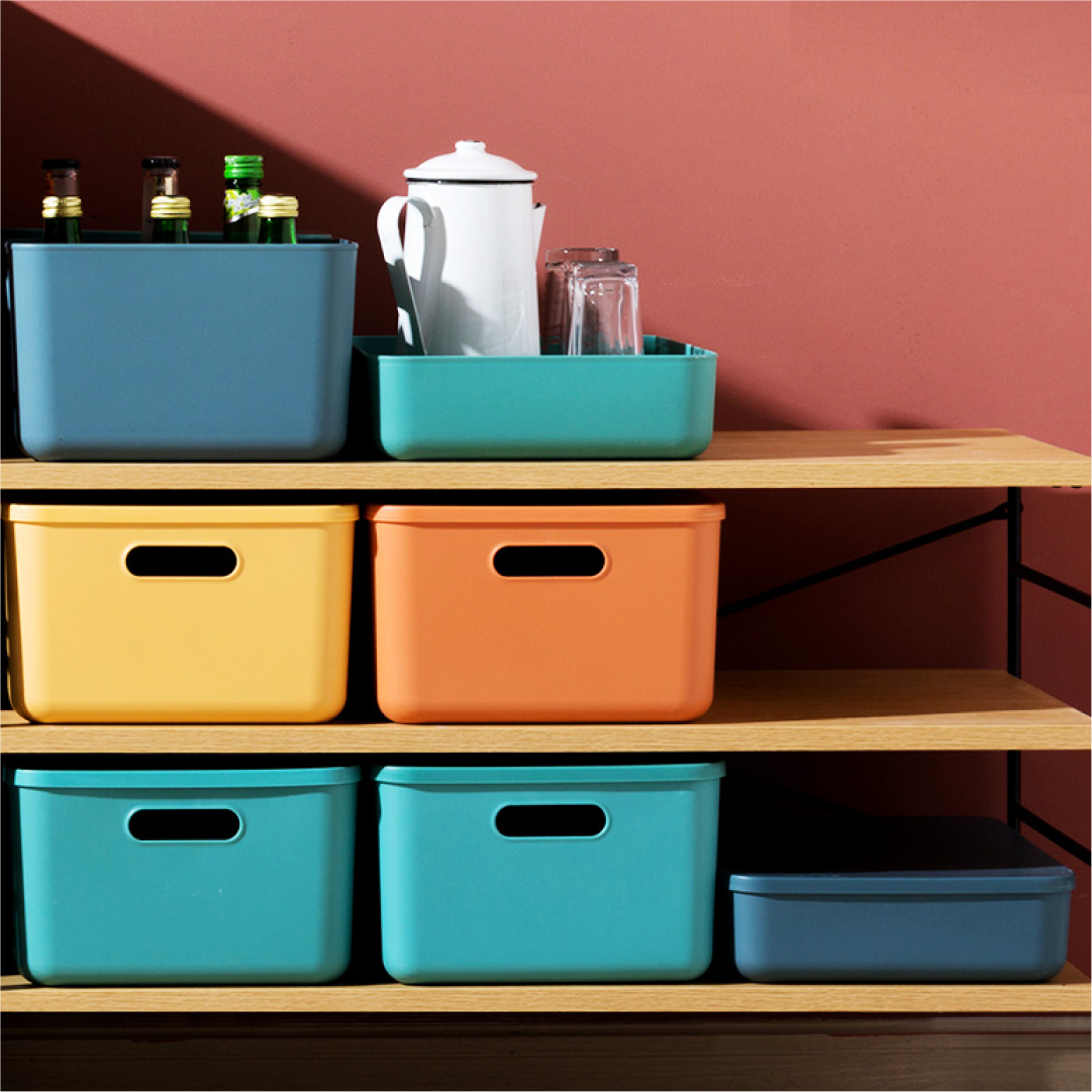 Bask Multicolor Storage Organizer