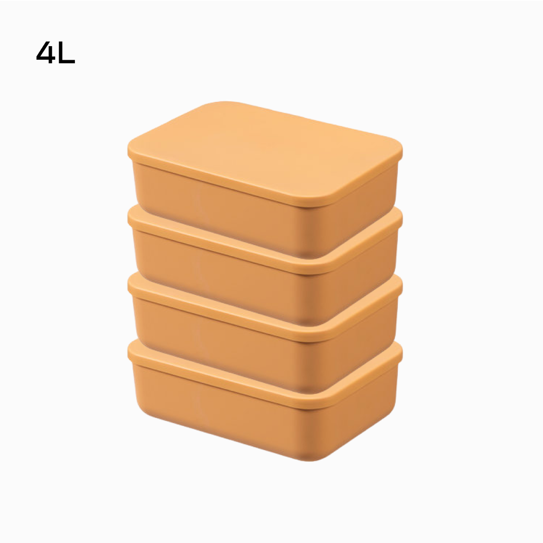 Bask Multicolor Storage Organizer