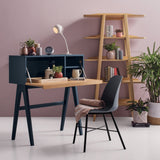 Lumo Green Dining Chair with Black Leg (Set of 2)