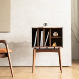 Alana Solid Wood Open Shelves Storage