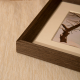 Aura Wall Picture Frame