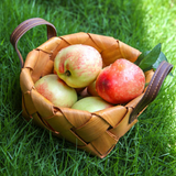 Auburn Rectangle Basket with Handle